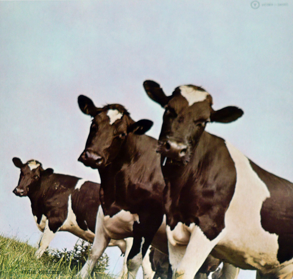 High Resolution Photo #2 PINK FLOYD Atom Heart France 1st 
